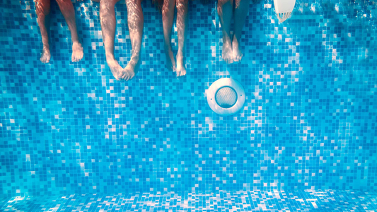 Les insectes bénéfiques pour les piscines naturelles