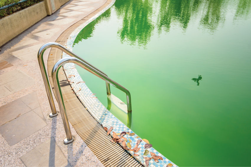 Comment nettoyer une piscine verte (sans trop la vider)