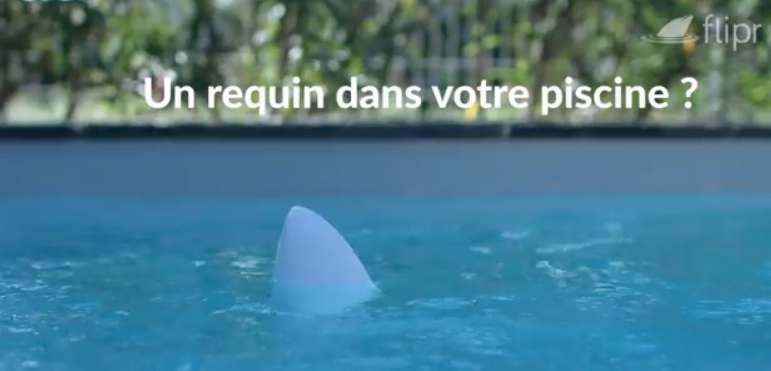 Load video: A Shark in Your Pool?